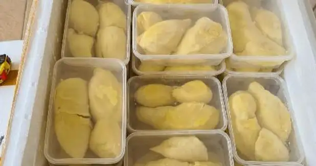 Durian Tsa, Antapani
