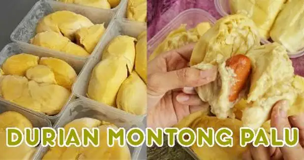 Durian Montong Palu, Andir