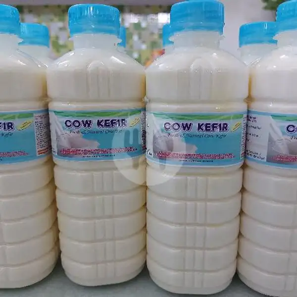 Minuman Fermentasi Susu Sapi 500ml | Valenta Organic, Pakal