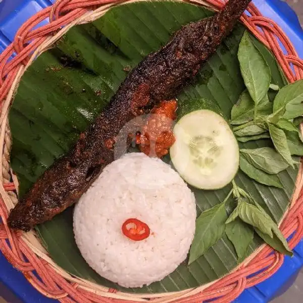Paket 1 Nasi Lele Goreng | Ikan Bakar Marjenggo