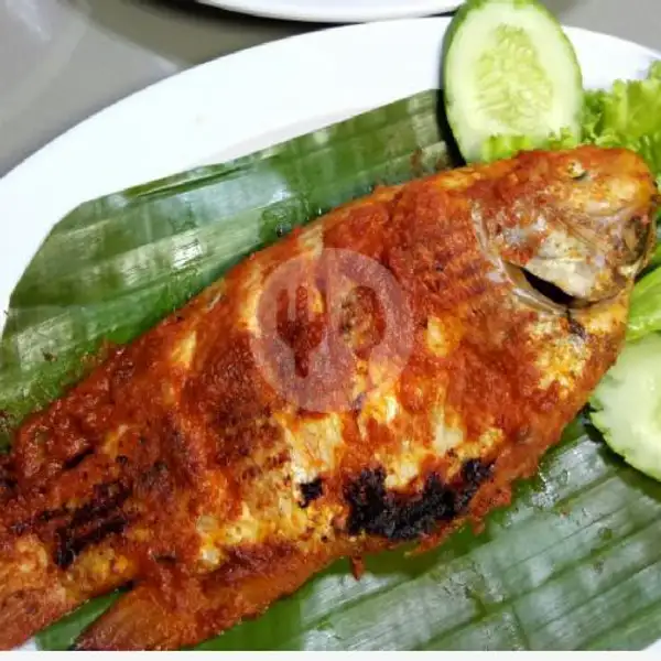 Mujair Bakar / Goreng | Ayam Bakar Dan Ikan Bakar Selera Nusantara, Dapur Nusantara
