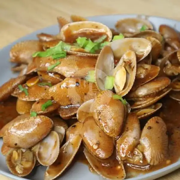 Kerang Batik Saus Padang | Seafood Kedai Om Chan Kerang, Kepiting & Lobster, Mie & Nasi, Jl.Nyai A.Dahlan