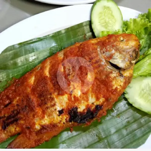 Mujair Bakar | Ayam Bakar & Ikan Bakar Kebon Kacang, Thamrin