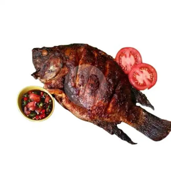 Ikan Nila Bakar + Nasi Komplit | Ayam Bakar Ayam Goreng RR Free Sambal Dadak Dan Karedok Lenca