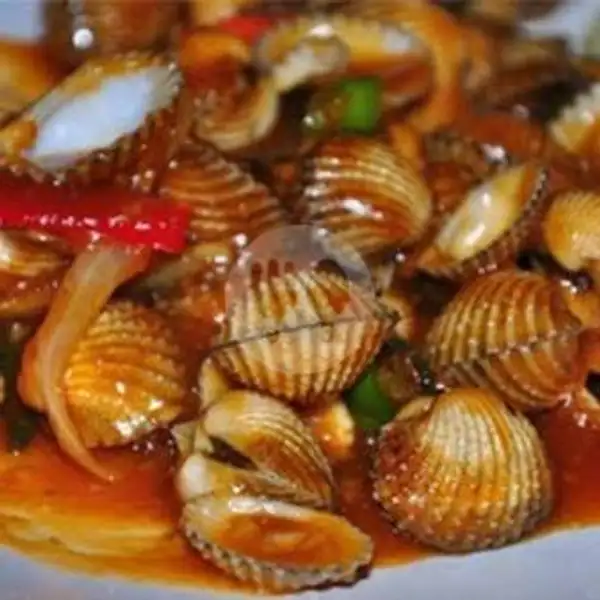 KERANG DARA 0,5 Kg | Kerang Seafood Idola, Keputih