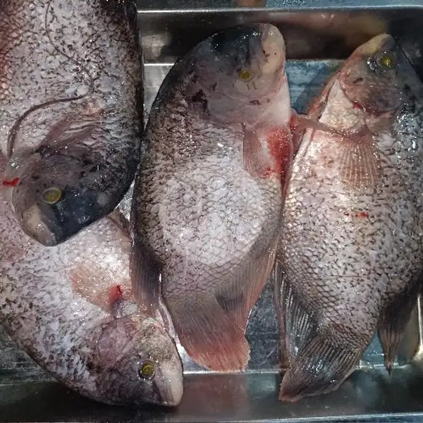 Ikan Gurami Goreng Tanpa Nasi | Lalapan Cak Hendri, Denpasar
