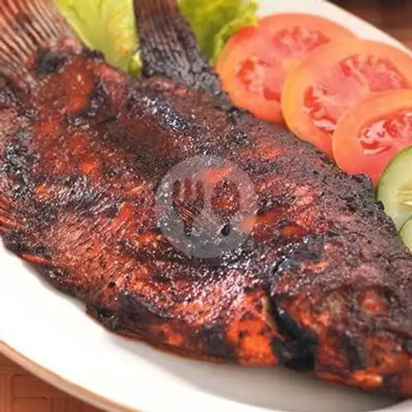 Ikan Gurame Bakar | ikan bakar mentari senja, jltruntum kleggo no2