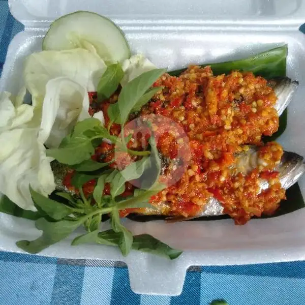 Ikan Katombo Bakar Extra Pedas | Warung Ikan Katombo, S Parman