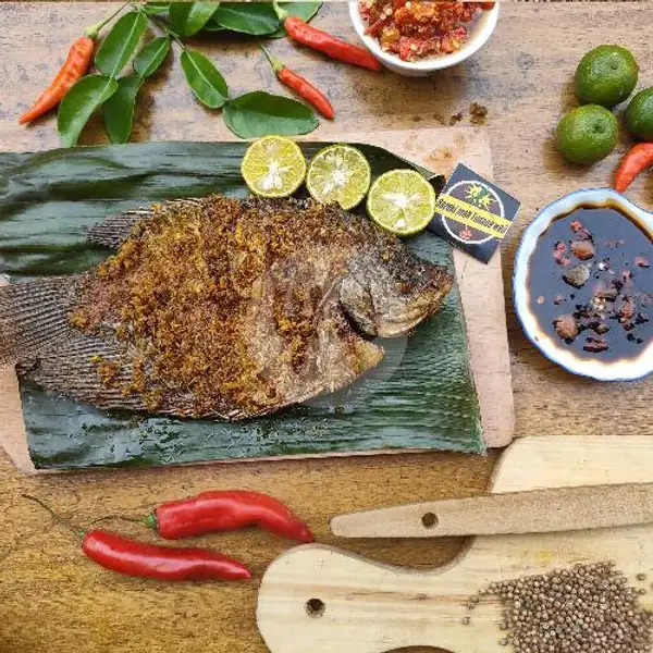 Paket Nasi Gurame Goreng Besar | Cumi dan Ikan Bakar Rezekimah Timana Weh, Cigadung