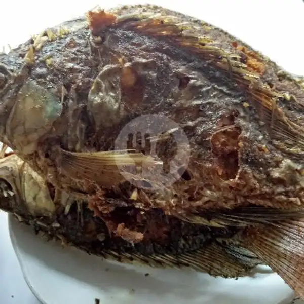 Nasi Ikan Jaer Goeng 2sayur | Warung Pak Kumis Mangga Besar 13, Sawah Besar