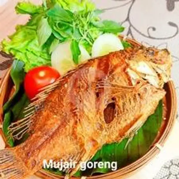Mujaer Goreng Lalapan | Ayam Bakar Dan Ikan Bakar Selera Nusantara, Dapur Nusantara
