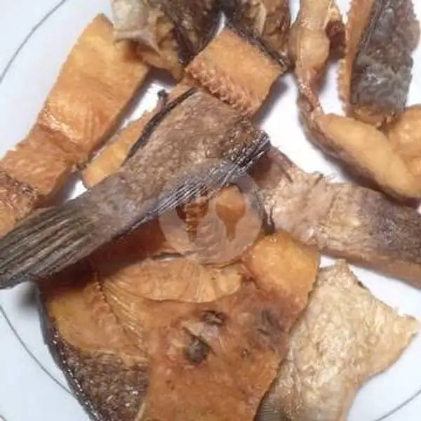 Ikan Asin Gabus + Sambal | Mak Ros Bebek & Ayam (Goreng/Panggang), Senen