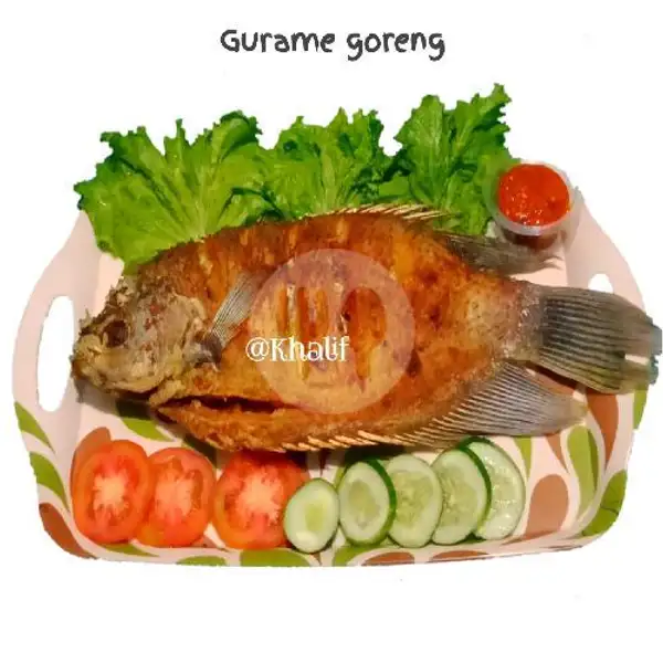 Gurame  Goreng 1,5 Kg Lebih -/+ 16 Ons | Gurame & Ayam Bakar Khalif, Ciputat Timur