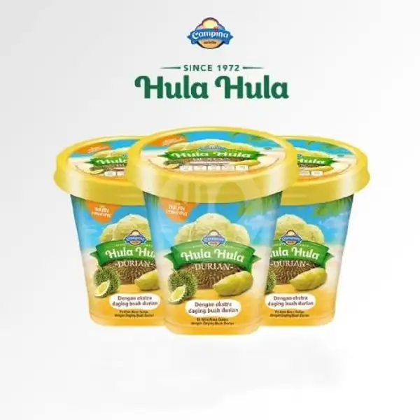 Campina Hula-hula Durian 350ml x 2   With Buah Durian Monthong Asli | Nayra Ice Cream