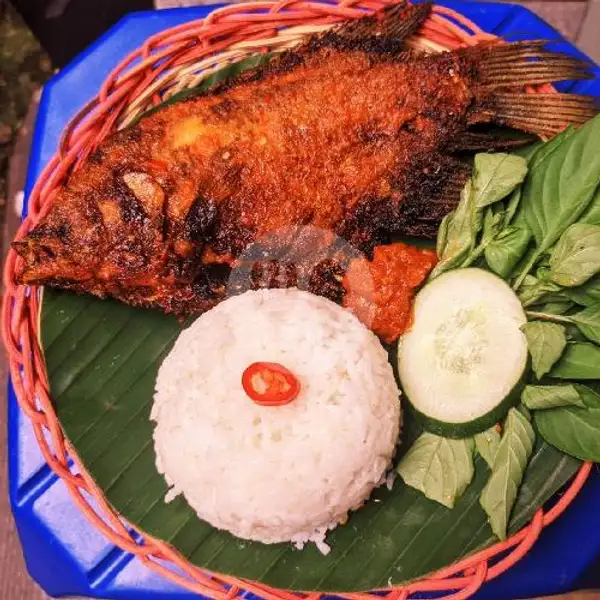 Paket 1 Nasi Gurami Bakar Bumbu Rujak/Kecap | Ikan Bakar Marjenggo