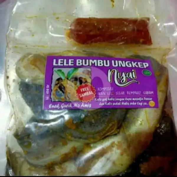 Lele Bumbu Ungkep Berat 450g + Sambal ( Frozen ) | Dimsum Pempek Baso Aci Dan Frozen Food ADA,Bojong Pondok Terong