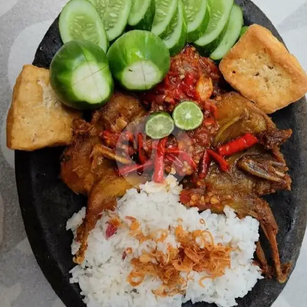 Nasi Puyuh Penyet + Tahu Tempe Terong | Seafood Ndjedir