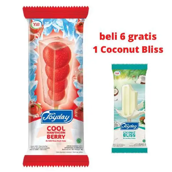 Joyday Cool Hawthorn Buy 6 Get 1 Free Coconut Bliss  Joyday | Aice Ice Cream, Roxy