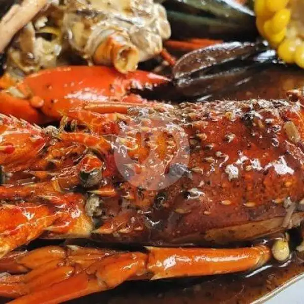 Lobster Besar Saus Padang | Seafood Kedai Om Chan Kerang, Kepiting & Lobster, Mie & Nasi, Jl.Nyai A.Dahlan