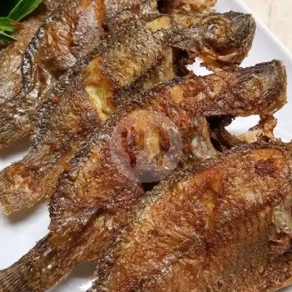 Ikan Mujaer Goreng | Seafood Dinar 79