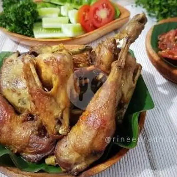 Ayam Goreng Kampung Lalapan + Nasi Free Teh Pucuk Botol / Le Mineral Botol 600 Ml | Naufalita Resto & Cake, Jekan Raya