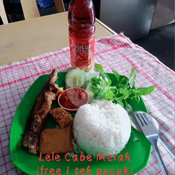 Lele Penyet Cabe Merah (Free1 Teh Pucuk) | Special Cabe Ijo Dadakan Kintan, Sagulung