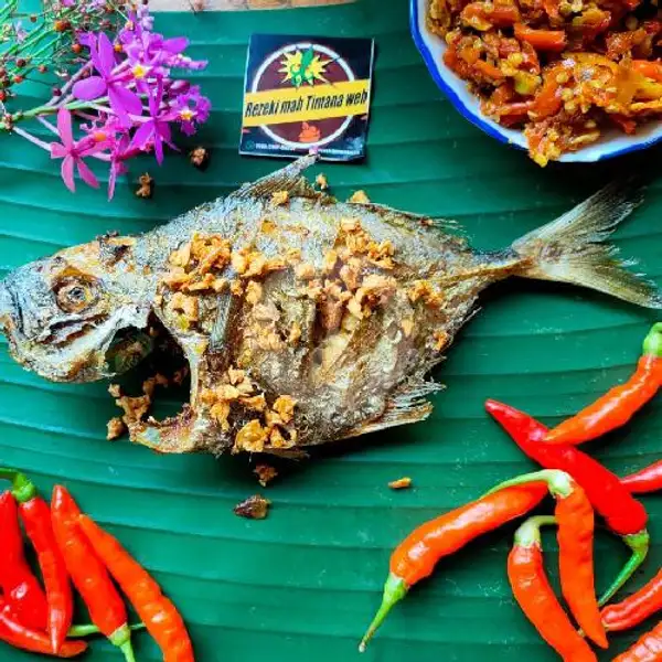 Ikan Kuwe Goreng | Cumi dan Ikan Bakar Rezekimah Timana Weh, Cigadung