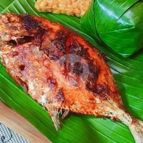 Bawal Laut Bakar Lalapan | Ayam Bakar Dan Ikan Bakar Selera Nusantara, Dapur Nusantara