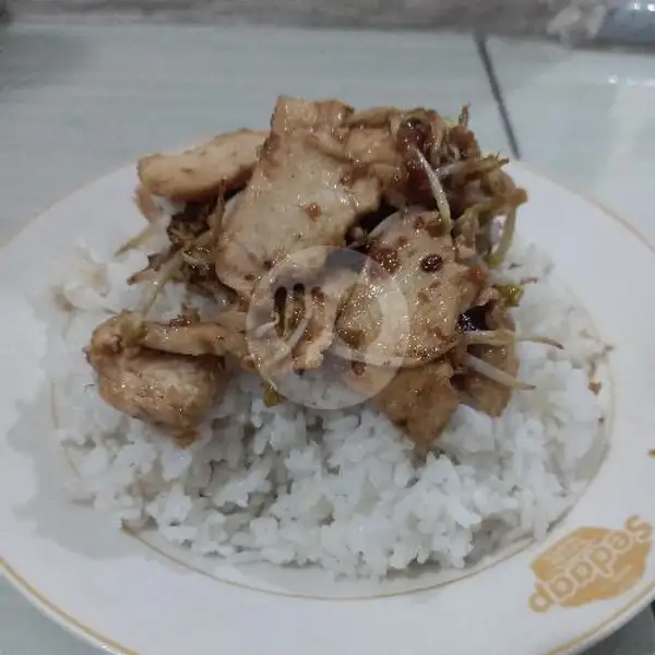 NASI AYAM PONTIANAK | Anglo Wei Chinesefood, Kedung Tarukan Wetan
