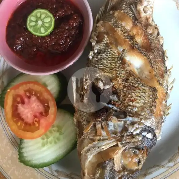 Ikan Laut Goreng Pasti Ada Promo | Sate Gurita Warung Sunny, Sekarwangi