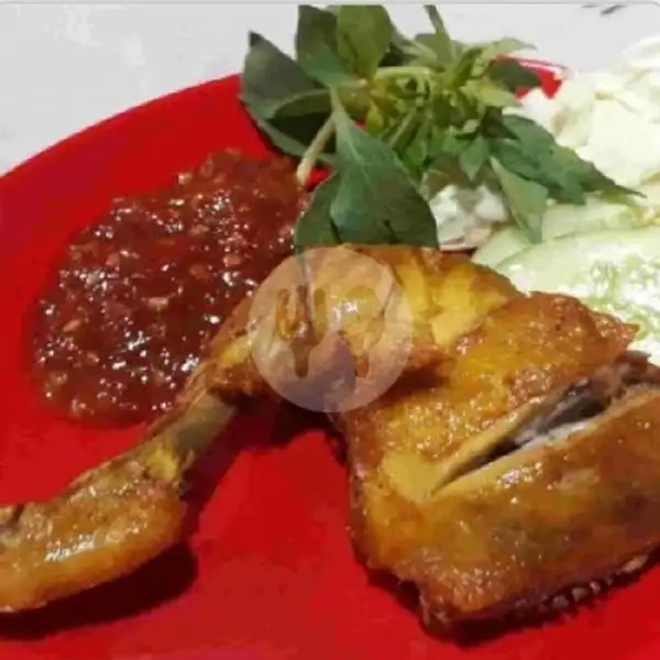 Ayam Goreng JUMBO | Ayam Bakar Omer, Kebalenan Baru