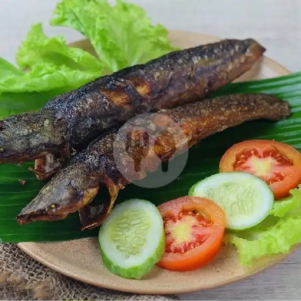 paket ikan lele goreng sambel ndower | Penyet Kedung Mundu, Semarang