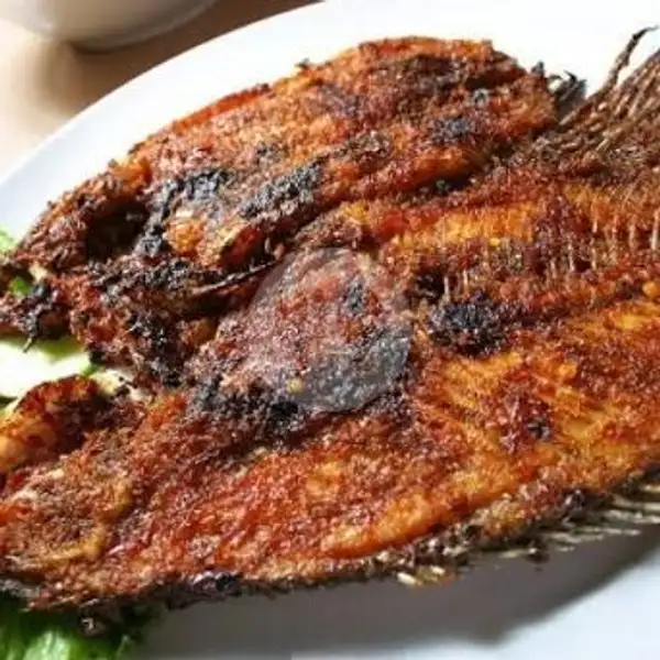 Ikan Bakar Besar Plus Nasi | Ikan Prambanan, Lowokwaru