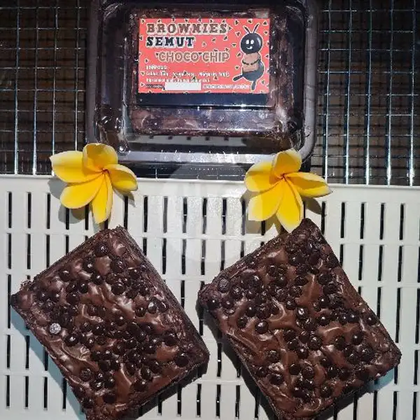 Brownies Chocochip | Rumah Semut Id