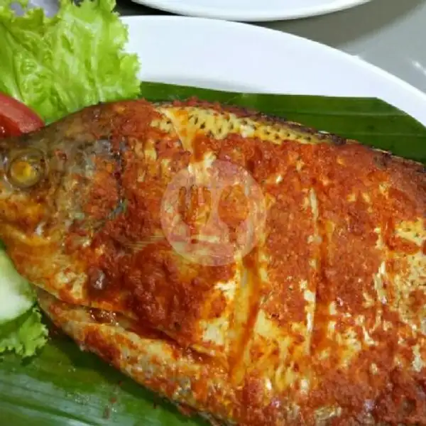Gurami Bakar | Ayam Penyet Dan Ikan Bakar Cafe Oren, Kebon Kacang