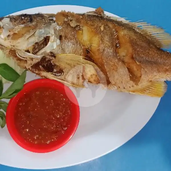Ikan Goreng Jangki | Lalapan Bajak Laut Angler, Denpasar