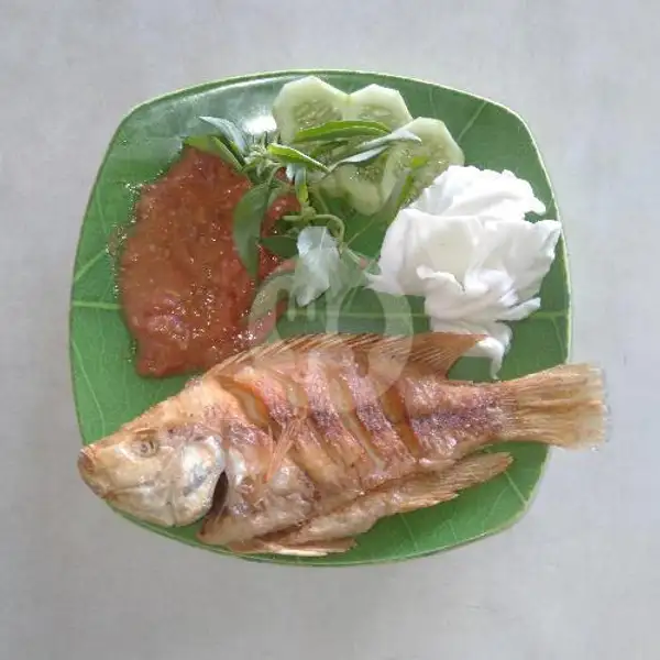 Ikan Nila Goreng | Seafood Lamongan Cak Iqom, Adi Sucipto