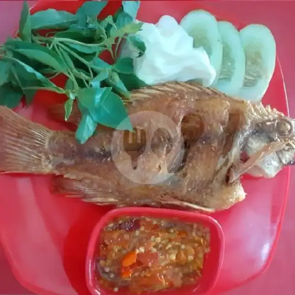 Paket Ikan Goreng + Nasi | Baso Joss,Karawaci