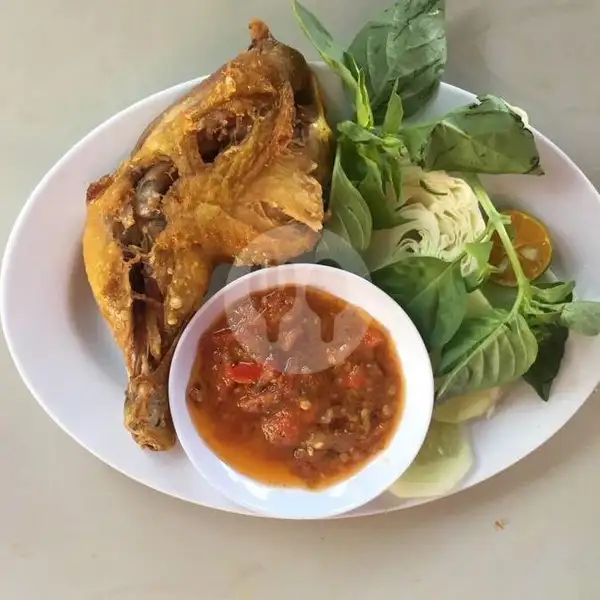 Nasi Ayam Penyet | WR Mie Aceh 99, Simpang Terowongan