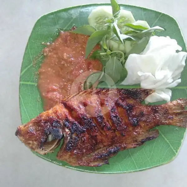 Nila Bakar | Seafood Lamongan Cak Iqom, Adi Sucipto