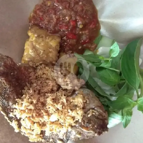 Nasi Mujair Penyet+ Teh Obeng | Ayam Penyet Kita, Panbil Mall