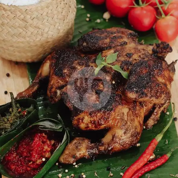 Indonesian Grilled Chicken (Ayam Bakar) 1 Ekor | Chicken Union, Serang
