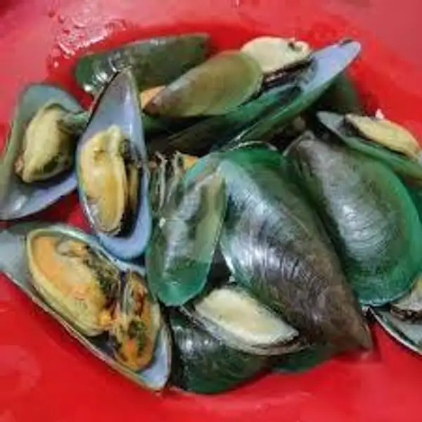 kerang ijo rebus | Bandar 888 Sea food Nasi Uduk