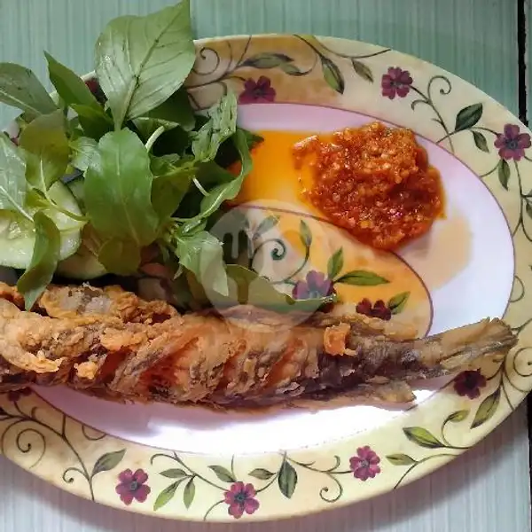 Nasi Lele Goreng Geprek | Alvina Seafood Khas Semarang, Bukit Kecil