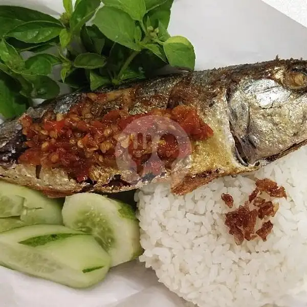 Paket Ikan Laut SNI | Mie Ayam Wajan Lembang, Sespim UB 52