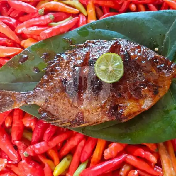 Ikan Etong Goreng | Cumi dan Ikan Bakar Rezekimah Timana Weh, Cigadung