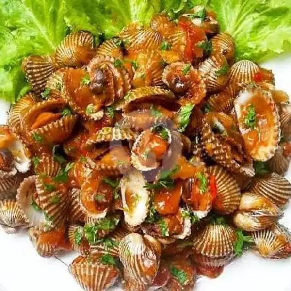 Kerang Dara Saos Padang | Seafood 48 NaufaL