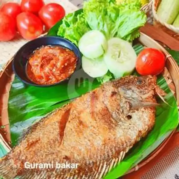 Gurami Goreng Lalapan | Ayam Bakar Dan Ikan Bakar Selera Nusantara, Dapur Nusantara