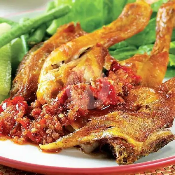 Paket Ayam Penyet Sambal Terasi + Nasi + Teh Obeng | SAUNG SUNDA KURING