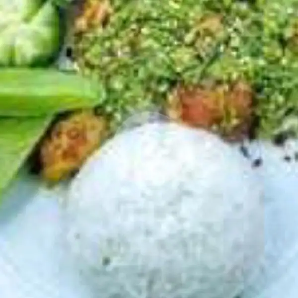Ayam Penyet (Dada) Sambel Ijo + Nasi + Free Le Minerale | Menu Surabaya
